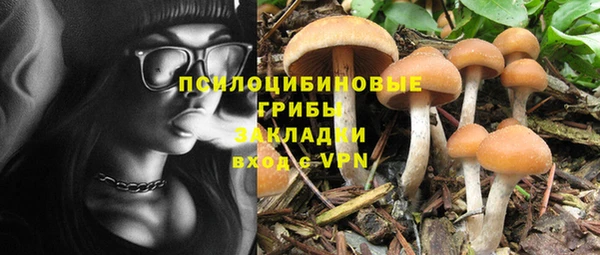 спиды Алексеевка