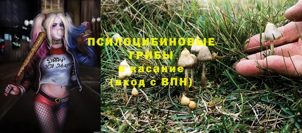 спиды Алексеевка