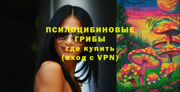соль курить ск Алзамай