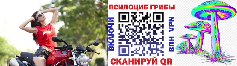 Псилоцибиновые грибы прущие грибы  Лебедянь 