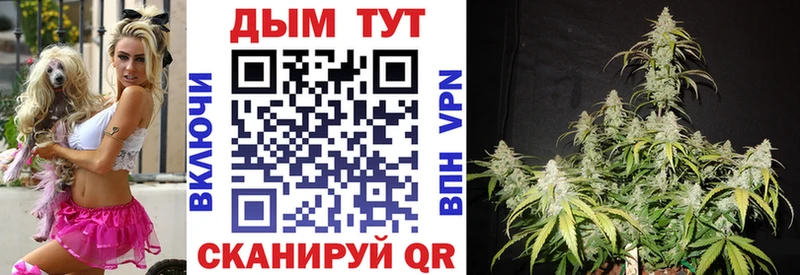Канабис семена  Лебедянь 